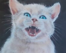 Chaton Pastel sur papier, 30cmx40cm Vendu
